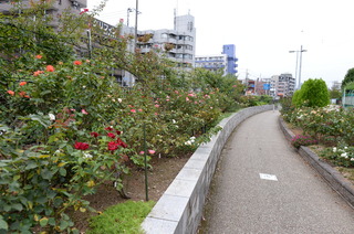 DSC_6389.JPG