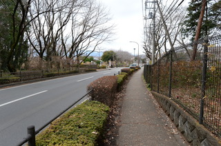 DSC_6466.JPG
