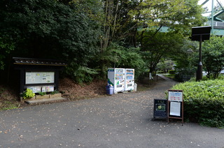 DSC_6531.JPG