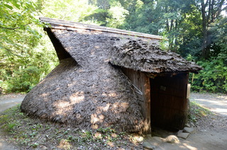 DSC_6630.JPG