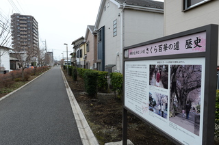 DSC_6638.JPG