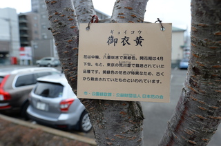 DSC_6651.JPG