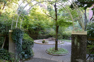 DSC_6722.JPG