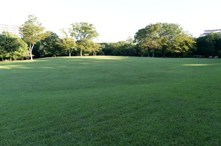 DSC_6736.JPG