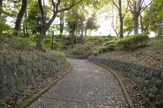 DSC_6747.JPG