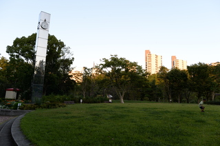 DSC_6787.JPG