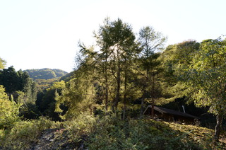 DSC_6806.JPG