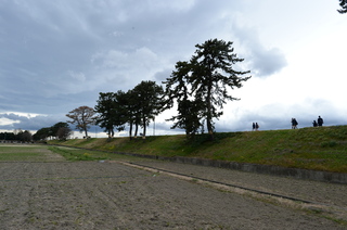 DSC_6919.JPG