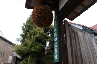 DSC_7021.JPG