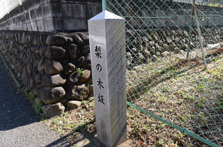 DSC_7027.JPG