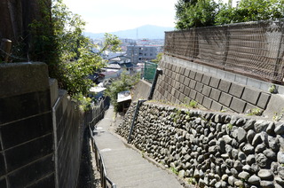 DSC_7046.JPG