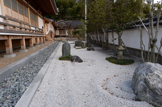 DSC_7103.JPG