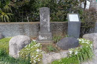 DSC_7113.JPG