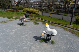 DSC_7291.JPG