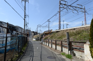 DSC_7308.JPG