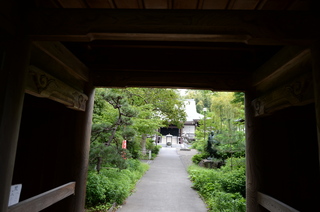 DSC_7382.JPG
