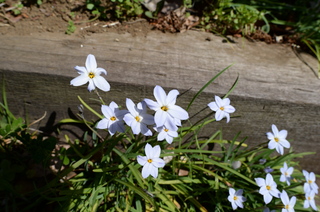 DSC_7624.JPG