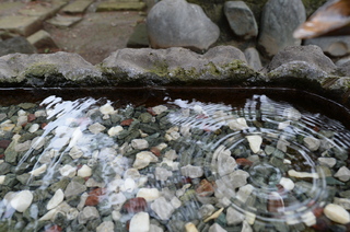 DSC_7632.JPG