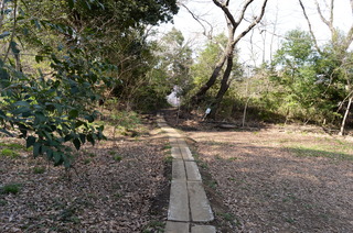 DSC_7661.JPG