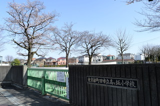 DSC_7697.JPG