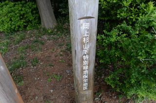 DSC_7747.JPG
