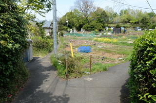 DSC_7754.JPG