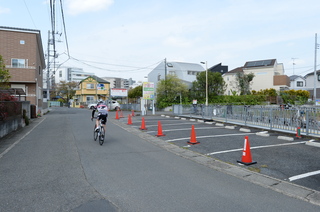 DSC_7790.JPG