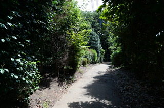 DSC_7897.JPG
