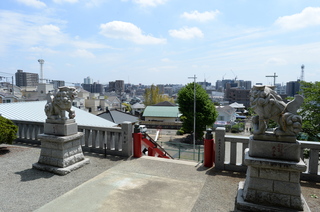 DSC_8048.JPG