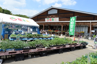 DSC_8086.JPG