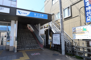 DSC_8098.JPG