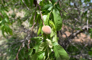 DSC_8103.JPG