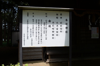 DSC_8115.JPG