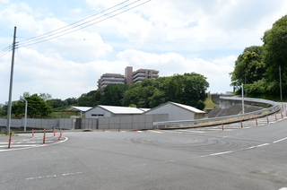 DSC_8129.JPG