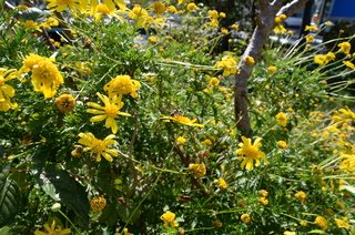 DSC_8194.JPG