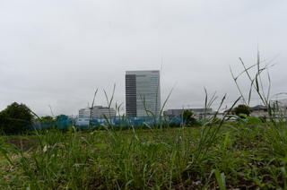 DSC_8269.JPG
