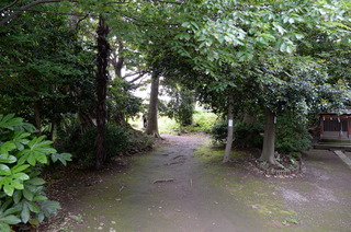 DSC_8345.JPG
