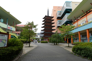 DSC_8496.JPG