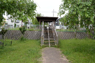 DSC_8539.JPG
