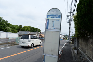 DSC_8603.JPG