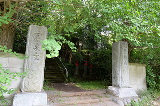 DSC_8610.JPG