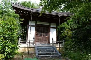DSC_8619.JPG