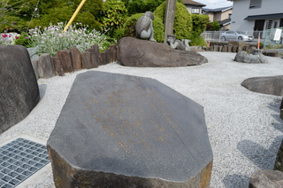 DSC_8637.JPG