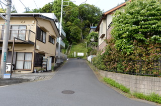 DSC_8672.JPG