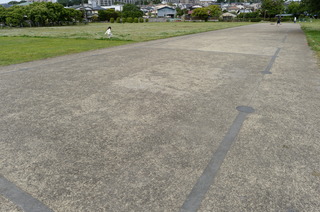 DSC_8689.JPG
