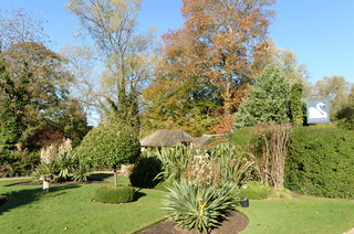 DSC_8821.JPG