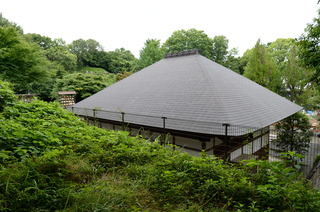 DSC_8831.JPG