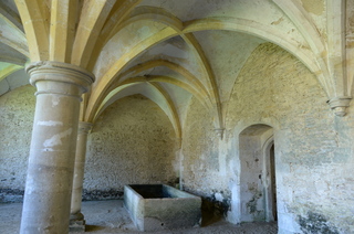 DSC_8865.JPG