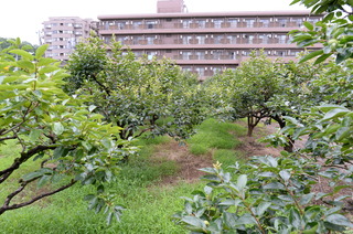 DSC_8942.JPG