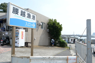 DSC_9038.JPG